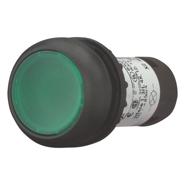 Illuminated pushbutton actuator, Flat, momentary, 1 N/O, Screw connection, LED green, green, Blank, 230 V AC, Bezel: black image 5