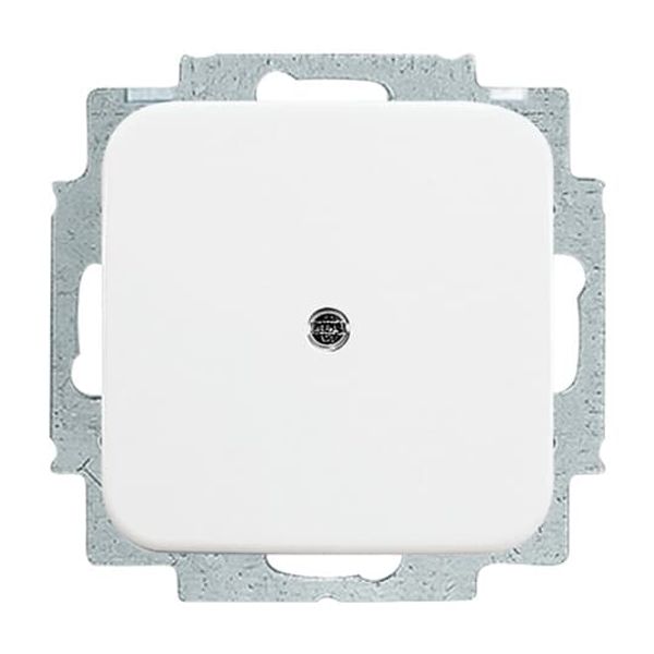 2538-214 CoverPlates (partly incl. Insert) carat® Alpine white image 6