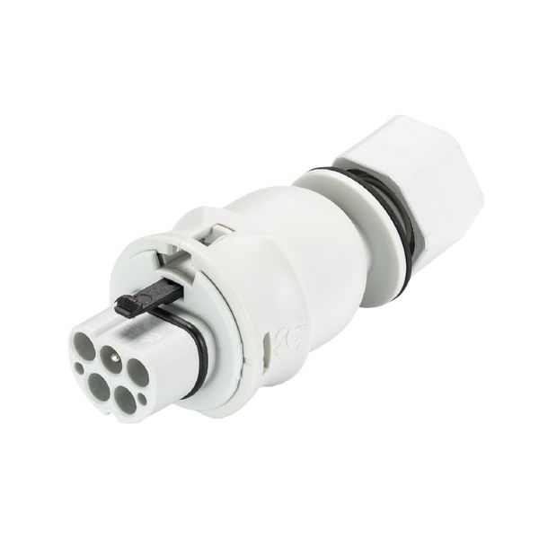 DEVICE CONNECTOR RST20I5C S1 M13V GL image 1