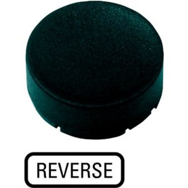 Button plate, raised black, REVERSE image 4