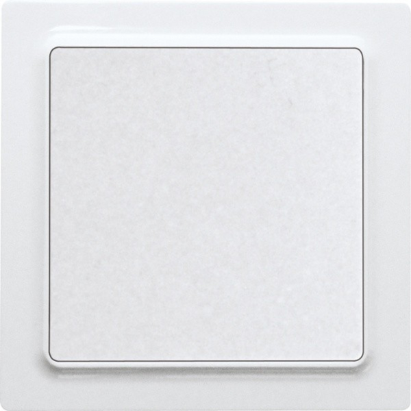 Rocker switch in E-Design55, polar white glossy image 1