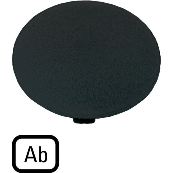 Button plate, mushroom black, AB image 5