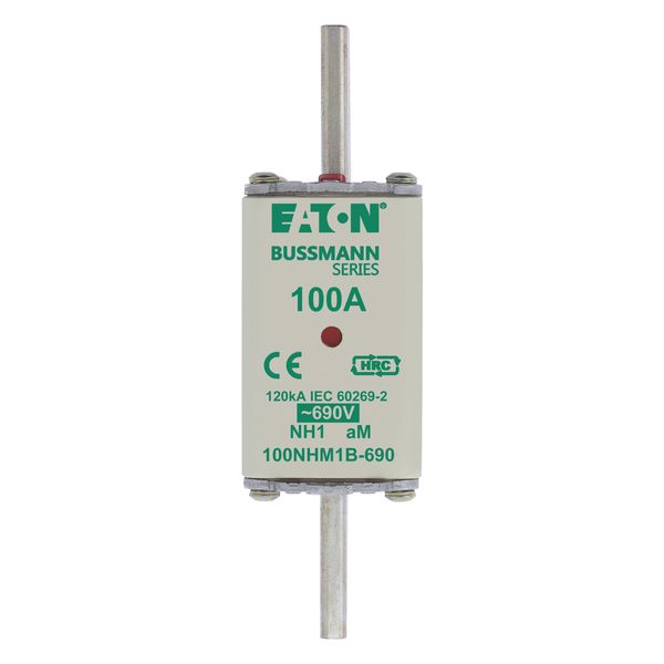 Fuse-link, low voltage, 100 A, AC 690 V, NH1, aM, IEC, dual indicator image 6