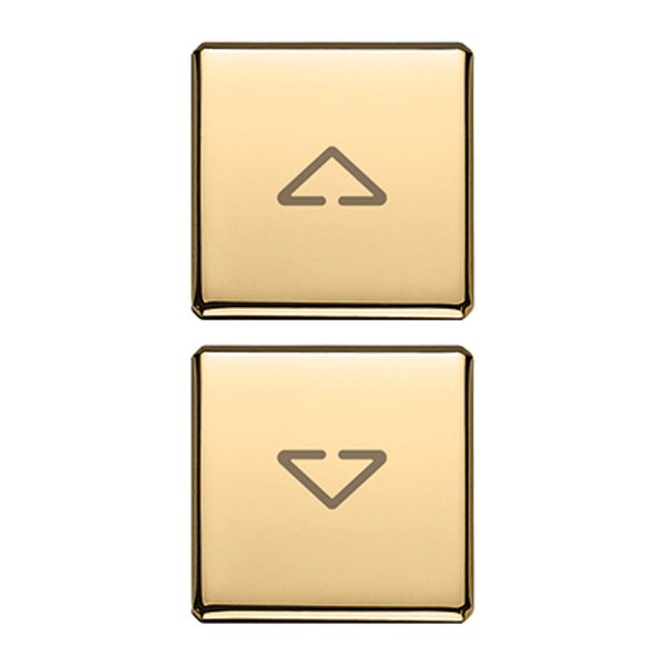 2 buttons Flat arrows symbol gold image 1