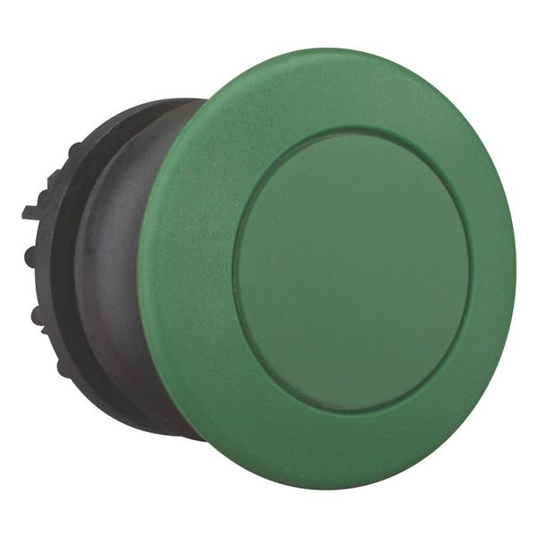 Mushroom actuator, RMQ-Titan, Mushroom, momentary, Mushroom green, green, Blank, Bezel: black image 6