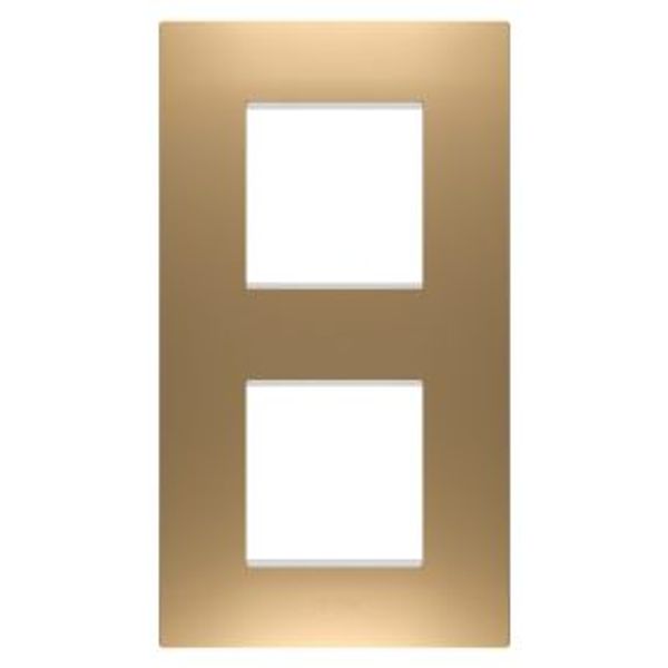 EGO INTERNATIONAL PLATE - IN PAINTED TECHNOPOLYMER - 2+2 MODULES VERTICAL - GOLD - CHORUSMART image 1