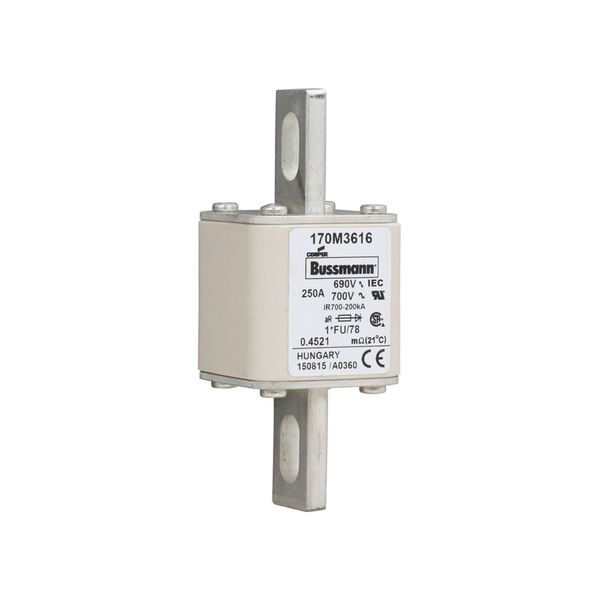 Fuse-link, high speed, 250 A, AC 690 V, compact size 1, 45 x 45 x 110 mm, aR, IEC, UL image 11