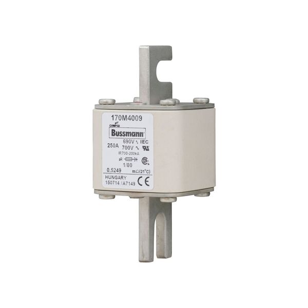 Fuse-link, high speed, 250 A, AC 690 V, DIN 1, 53 x 53 x 108 mm, aR, DIN, IEC, single indicator image 7