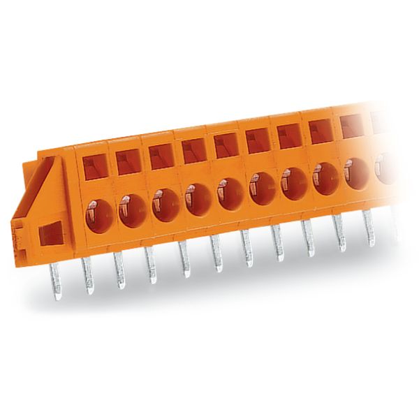 PCB terminal block 2.5 mm² Pin spacing 5.08 mm orange image 4