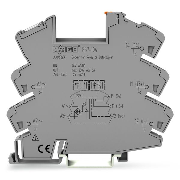 Relay socket Nominal input voltage: 24 V AC/DC for 5 mm basic relays image 1