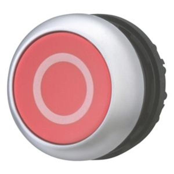 Pushbutton, RMQ-Titan, Flat, momentary, red, inscribed, Bezel: titanium image 2