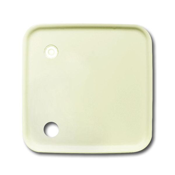 2548-046 A-212 CoverPlates (partly incl. Insert) Data communication White image 1