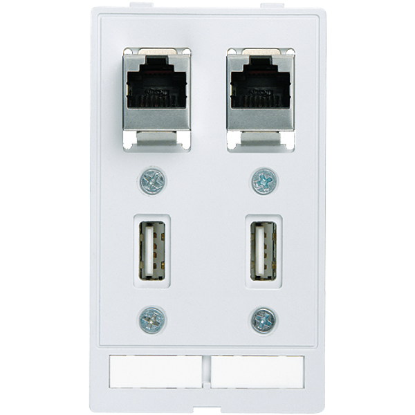 MODLINK MSDD DATA  INSERT 2xUSB-A female/female + 2xRJ45 image 1