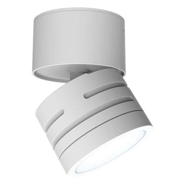 Reef CCT Adjustable Surface Downlight White image 2