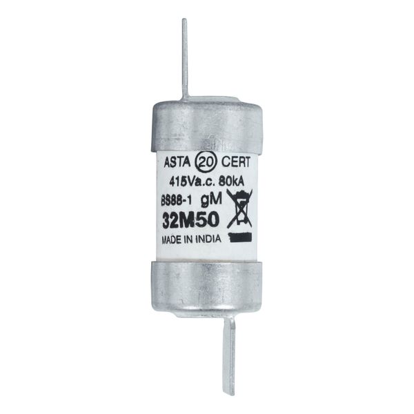 Fuse-link, low voltage, AC 415 V, BS88/F2, 18 x 59 mm, gM, BS image 17