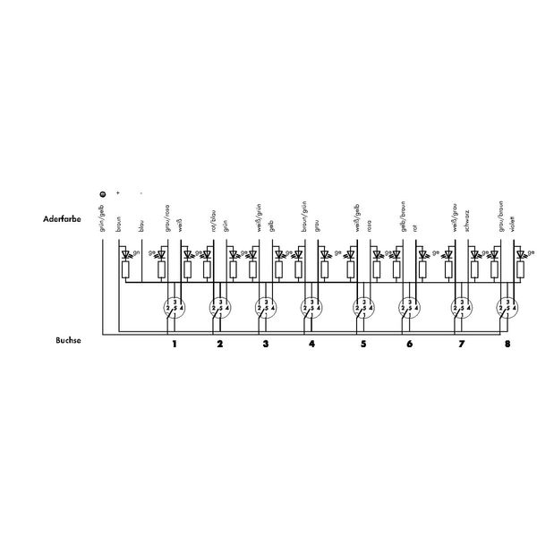 M12 sensor/actuator box 8-way 5-pole image 5