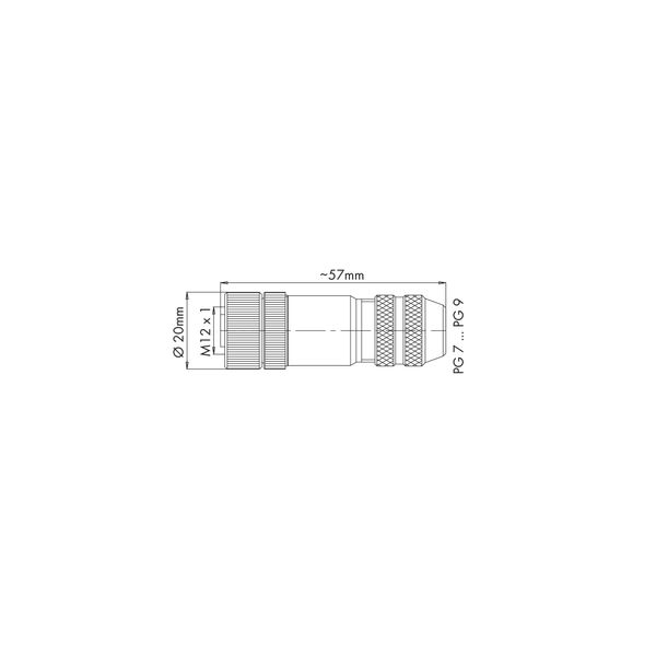 Accessories M12 socket, straight 5-pole image 4