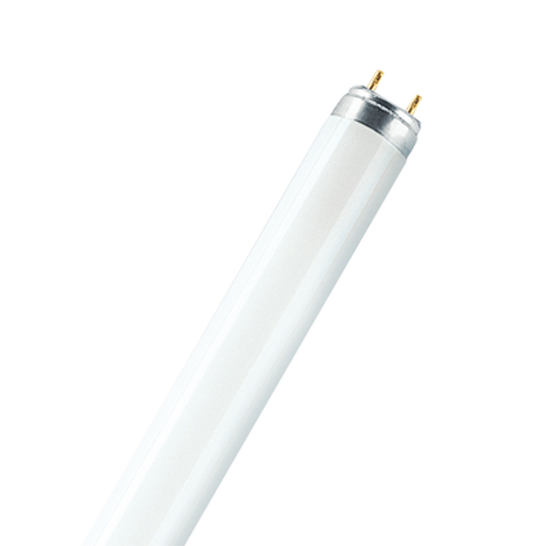 Linear Fluorescent Lamp T8 Triphosphor 36W/840 image 1