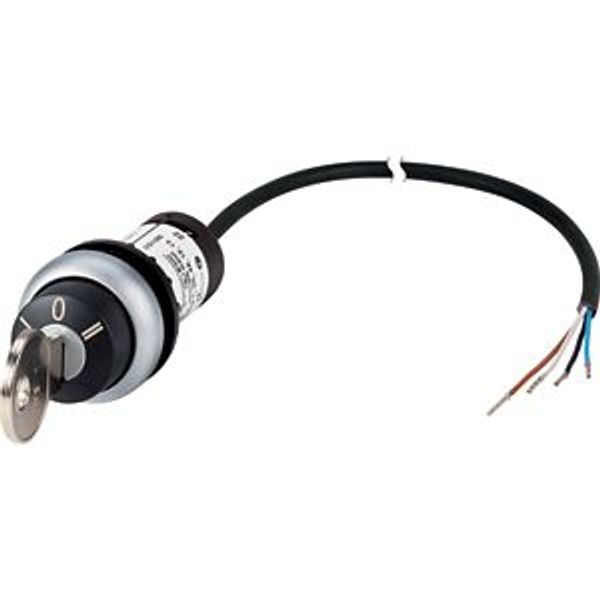 Key-operated actuator, RMQ compact solution, maintained, 2 NC, Cable (black) with non-terminated end, 4 pole, 3.5 m, 3 positions, MS1, Bezel: titanium image 2