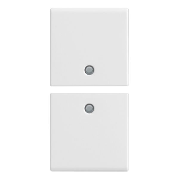 2 half buttons 1M w/o symbol cust. white image 1