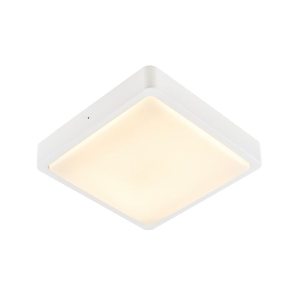 AINOS Outdoor SQ 17W 1300lm 3000/4000K 230V LED IP65 white image 1