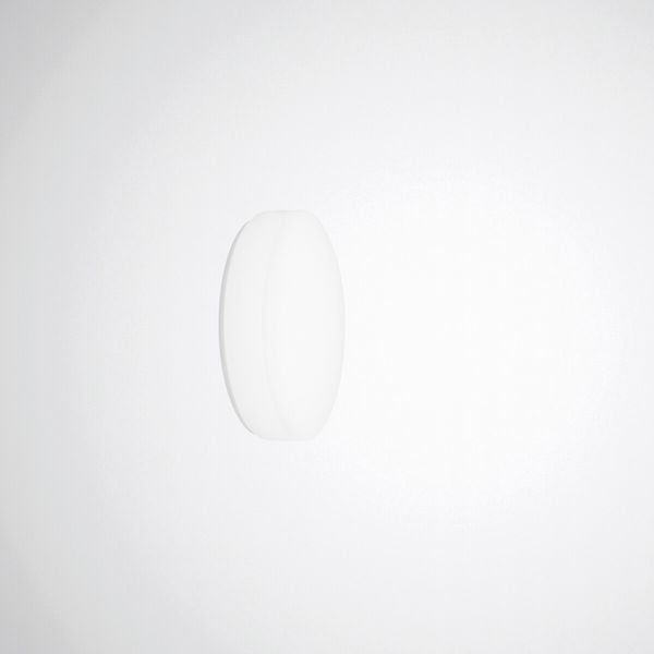 Wall and ceiling luminaire Olisq R Diffuser White around ETDD 15W 1900lm Lambertian (L) IP40 IK06 3 SDCM image 1