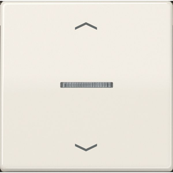 Centre plate for motor control inserts FMAS5232 image 3