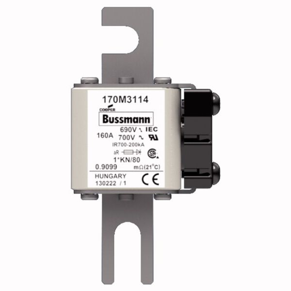 Fuse-link, high speed, 160 A, AC 690 V, compact DIN 1, 45 x 59 x 104 mm, aR, DIN, IEC, single indicator image 1