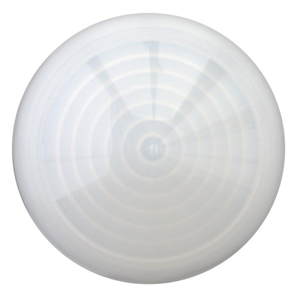 Indicator light, RMQ-Titan, Extended, conical, white image 5