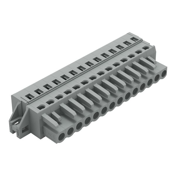 1-conductor female connector CAGE CLAMP® 2.5 mm² gray image 3