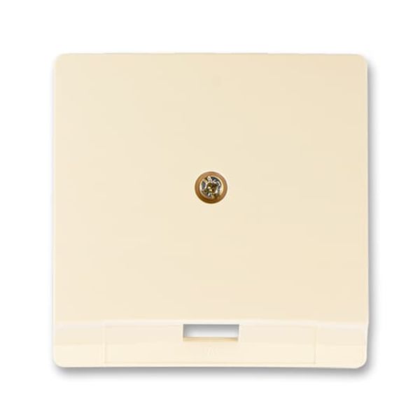 5013G-A00213 C1 Cover for Modular Jack outlet 1-gang image 1