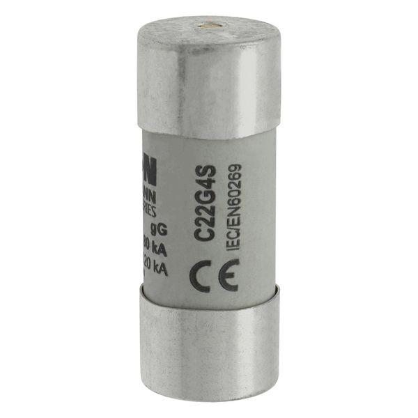 Fuse-link, LV, 4 A, AC 690 V, 22 x 58 mm, gL/gG, IEC, with striker image 21