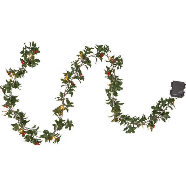 Garland Holly image 1