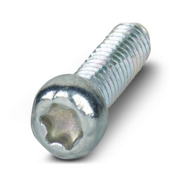 Screw image 1