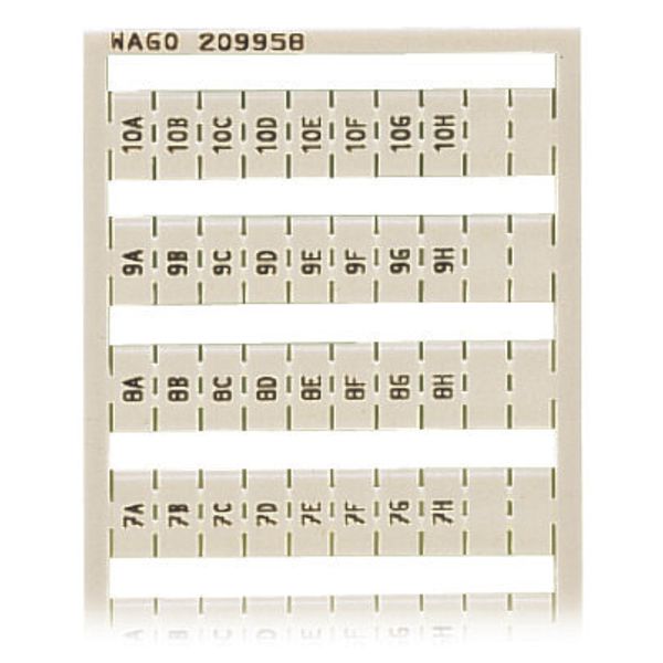 WSB marking card as card MARKED white image 1