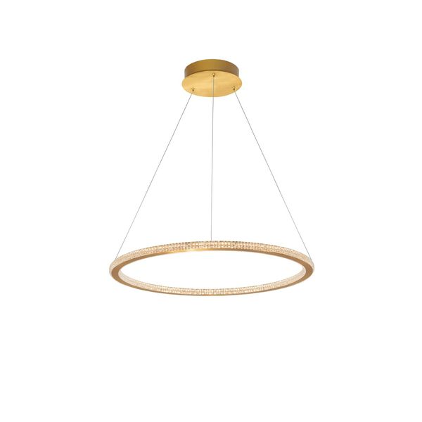 Traic Dimmable Brass Gold Aluminium   & Acrylic  LED 43 Watt 230 Volt  2729Lm 3000K IP20   D: 60 H: 150 cm Adjustable Height image 1