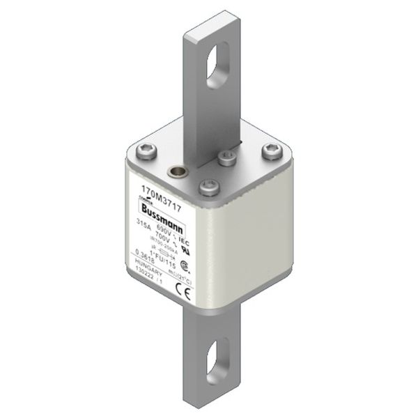 Fuse-link, high speed, 315 A, AC 690 V, compact size 1, 45 x 45 x 148 mm, aR, IEC, UL image 1