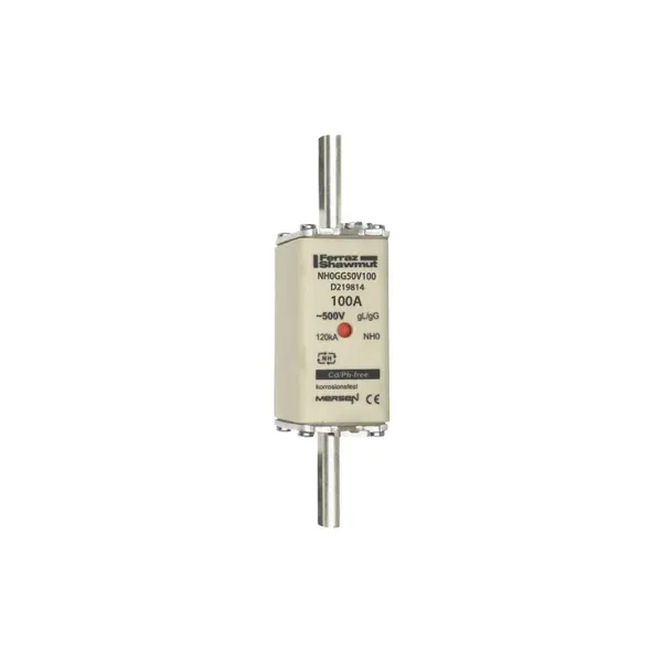 Fuse-link NH0 gG 500VAC 100A live tags Double indicator image 2