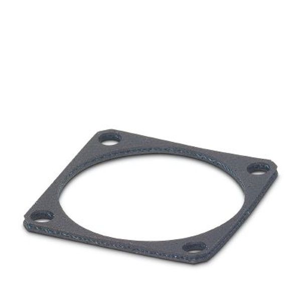 Flat gasket image 2