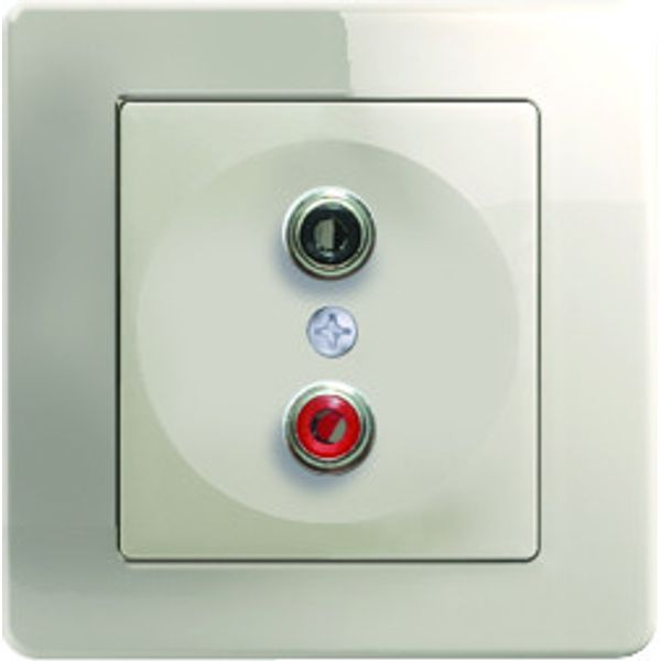 SOCKET AUDIO 2xRCA IW 4317784 image 1