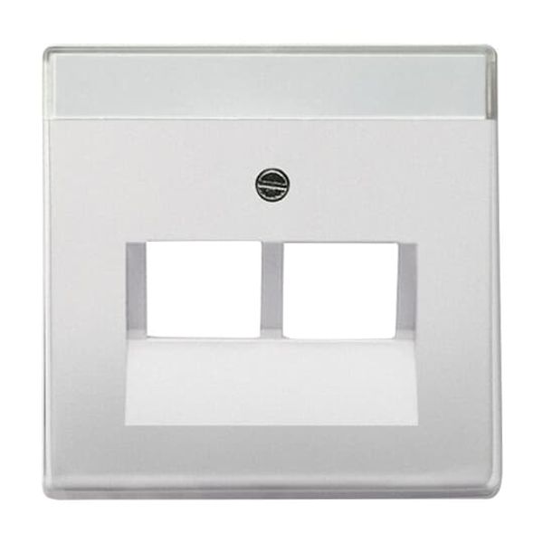 1766-866 CoverPlates (partly incl. Insert) pure stainless steel Stainless steel image 3