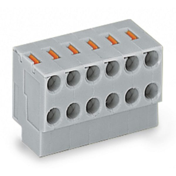 2-conductor female connector push-button PUSH WIRE® gray image 1