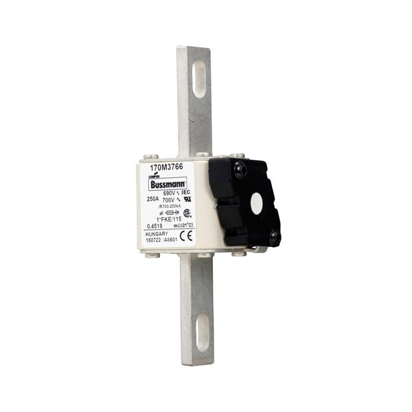 Fuse-link, high speed, 250 A, AC 690 V, compact size 1, 45 x 59 x 148 mm, aR, IEC, UL, single indicator image 4