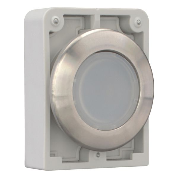 Illuminated pushbutton actuator, RMQ-Titan, flat, maintained, White, blank, Front ring stainless steel image 8