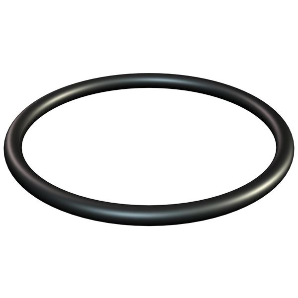 171 M12 Sealing ring o-ring M12 image 1