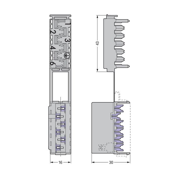 Socket 6-pole gray image 4