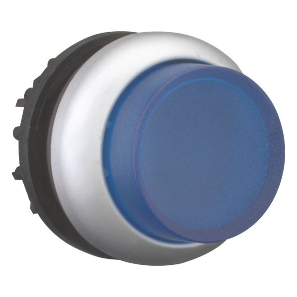 Illuminated pushbutton actuator, RMQ-Titan, Extended, momentary, Blue, Blank, Bezel: titanium image 12