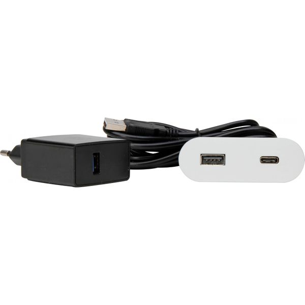 VersaPICK, oval, matt weiß,  USB-C, image 1