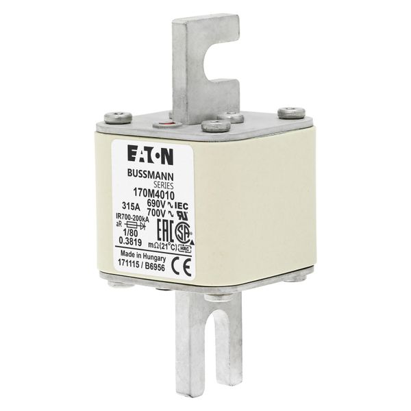 Fuse-link, high speed, 315 A, AC 690 V, DIN 1, 53 x 53 x 108 mm, aR, DIN, IEC, single indicator image 7