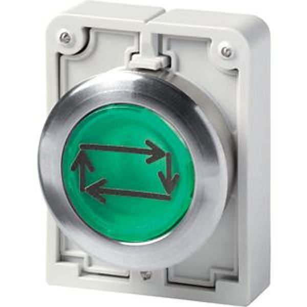 Illuminated pushbutton actuator, RMQ-Titan, Flat, momentary, green, inscribed, Metal bezel image 2